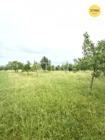 Prodej sadu/vinice, Strážnice, 4194 m2