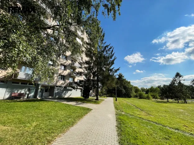 Pronájem bytu 1+1, Písek - Budějovické Předměstí, třída Přátelství, 40 m2