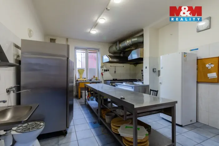 Prodej obchodního prostoru, Kravaře, Opavská, 1355 m2