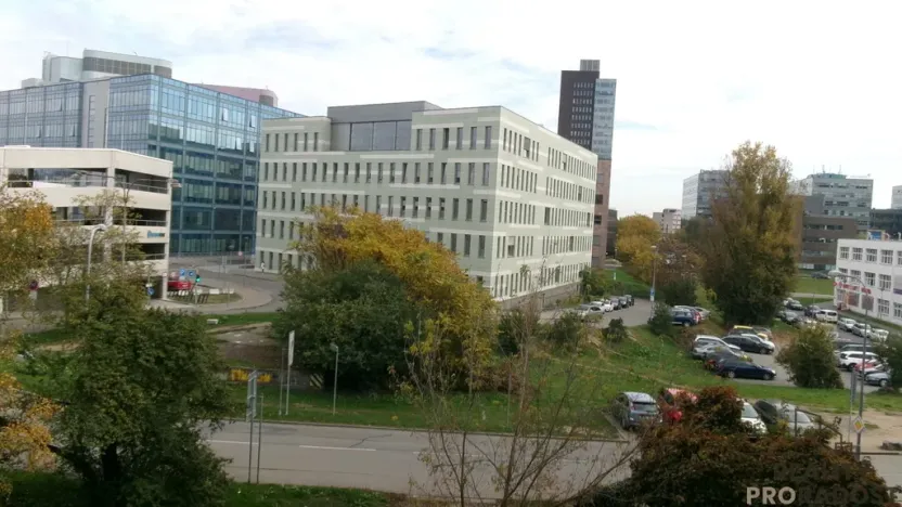 Pronájem bytu 2+kk, Brno, Dvorského, 40 m2