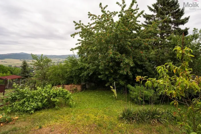Prodej chaty, Prackovice nad Labem, 40 m2