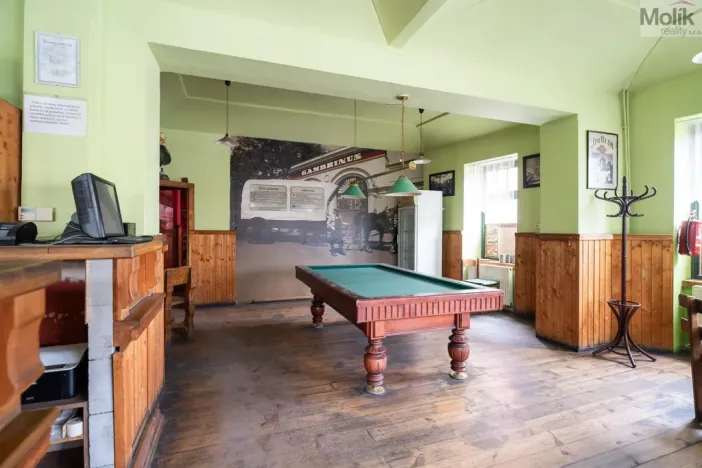 Prodej restaurace, Litvínov - Horní Litvínov, Ruská, 256 m2