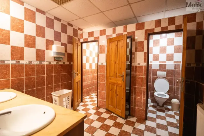 Prodej restaurace, Litvínov - Horní Litvínov, Ruská, 256 m2
