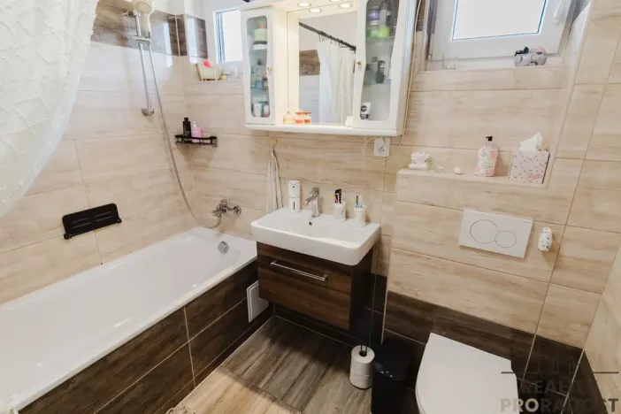 Prodej bytu 5+1, Katov, 200 m2