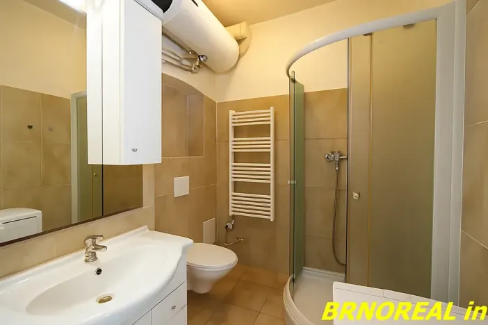 Pronájem bytu 1+kk, Brno, Vodní, 20 m2