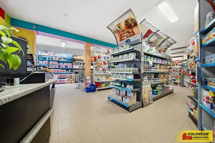 Prodej rodinného domu, Pohořelice, 350 m2