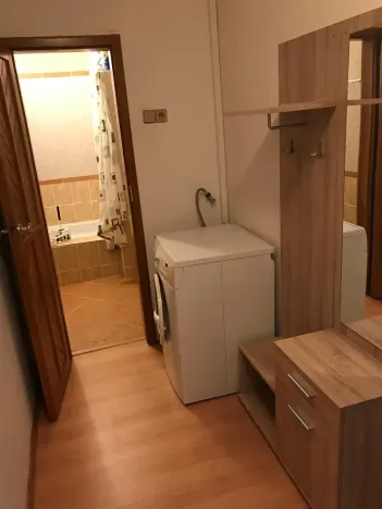 Pronájem bytu 1+kk, Praha, Jílovská, 35 m2