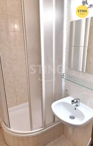 Pronájem bytu 1+1, Ostrava, Krestova, 41 m2