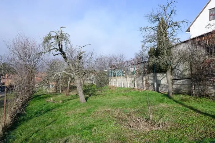 Prodej chalupy, Přílepy, 280 m2