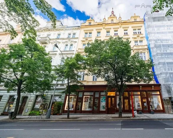 Prodej bytu 2+kk, Praha - Vinohrady, Italská, 62 m2