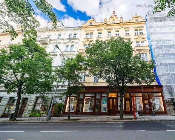 Prodej bytu 2+kk, Praha - Vinohrady, Italská, 62 m2