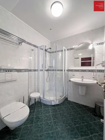Prodej ubytování, Mariánské Lázně, Anglická, 616 m2