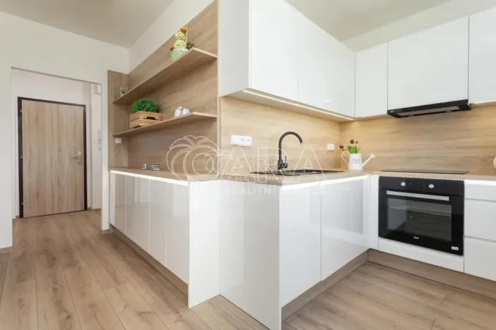 Pronájem bytu 1+1, Ostrava - Výškovice, Na Výspě, 38 m2