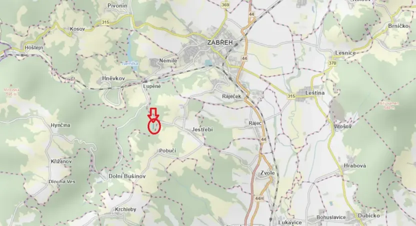 Prodej lesa, Nemile, 3224 m2