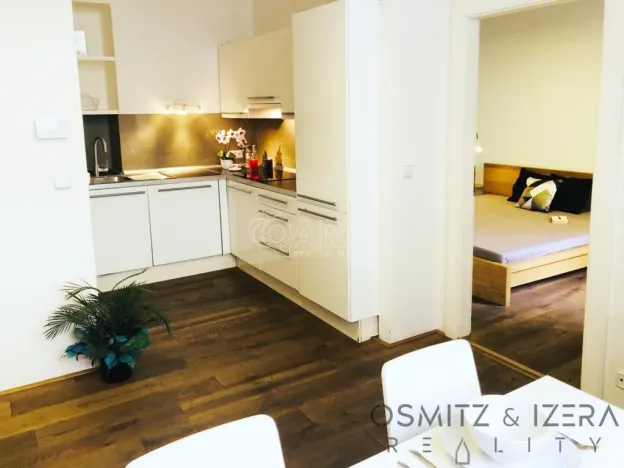 Pronájem bytu 2+kk, Praha - Josefov, Bílkova, 37 m2
