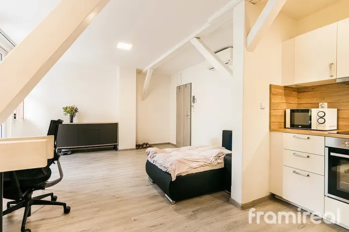 Pronájem bytu 1+kk, Brno - Pisárky, Hlinky, 30 m2