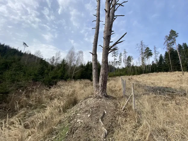 Prodej pozemku, Městečko Trnávka - Lázy, 384 m2