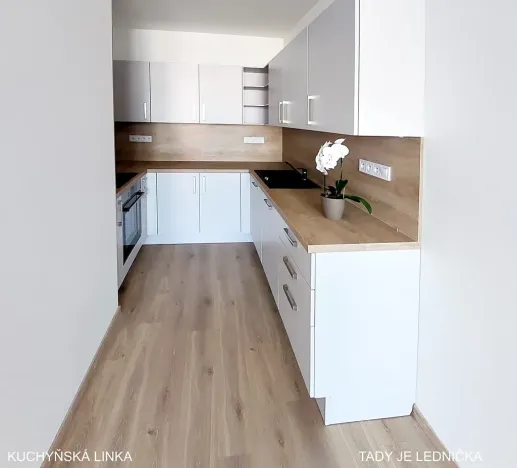 Pronájem bytu 3+kk, Brno, U Červeného mlýna, 97 m2