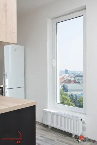 Pronájem bytu 2+kk, Plzeň - Jižní Předměstí, Stehlíkova, 62 m2
