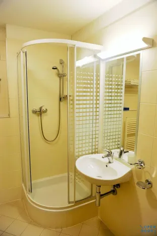 Pronájem bytu 1+kk, Praha - Žižkov, Kališnická, 32 m2