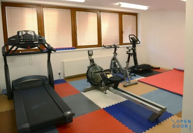 Pronájem bytu 1+kk, Praha - Žižkov, Kališnická, 32 m2