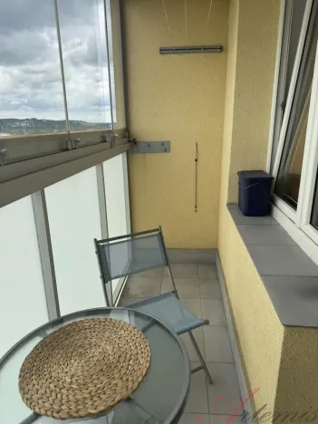 Prodej bytu 1+kk, Ostrava - Moravská Ostrava, Lechowiczova, 27 m2
