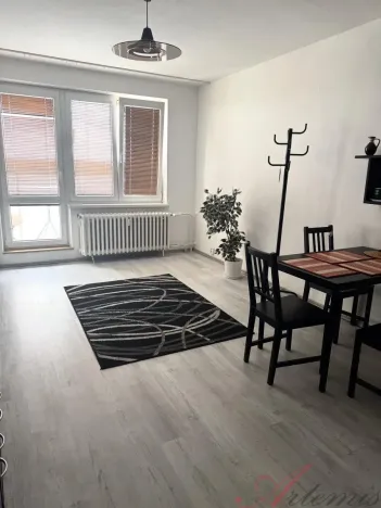 Prodej bytu 1+kk, Ostrava - Moravská Ostrava, Lechowiczova, 27 m2