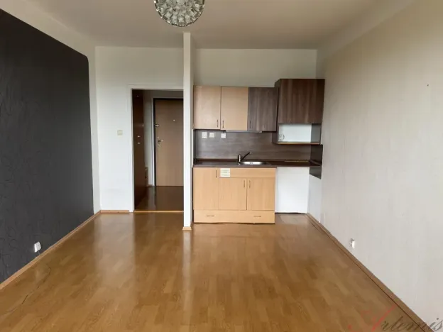 Prodej bytu 1+kk, Ostrava - Moravská Ostrava, Hornopolní, 27 m2