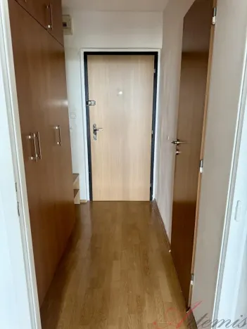 Prodej bytu 1+kk, Ostrava - Moravská Ostrava, Hornopolní, 27 m2