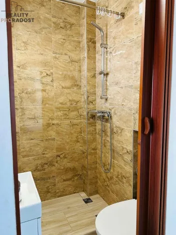 Prodej vícegeneračního domu, Teplice, Teplická, 275 m2