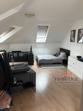 Pronájem bytu 1+kk, Opava - Předměstí, Na Rybníčku, 50 m2