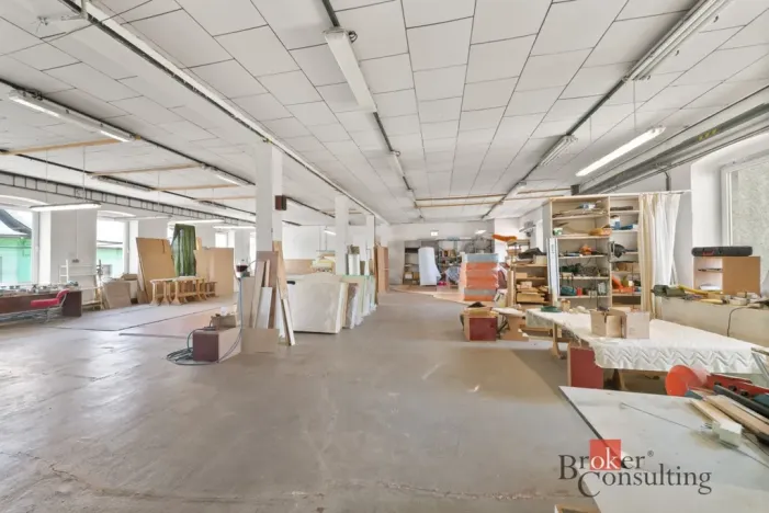 Prodej činžovního domu, Krnov - Pod Cvilínem, Stará, 1100 m2