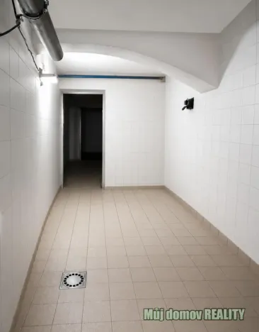 Pronájem výrobních prostor, Český Těšín, 220 m2