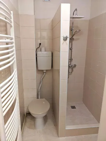 Pronájem bytu 1+1, Opava, Těšínská, 50 m2