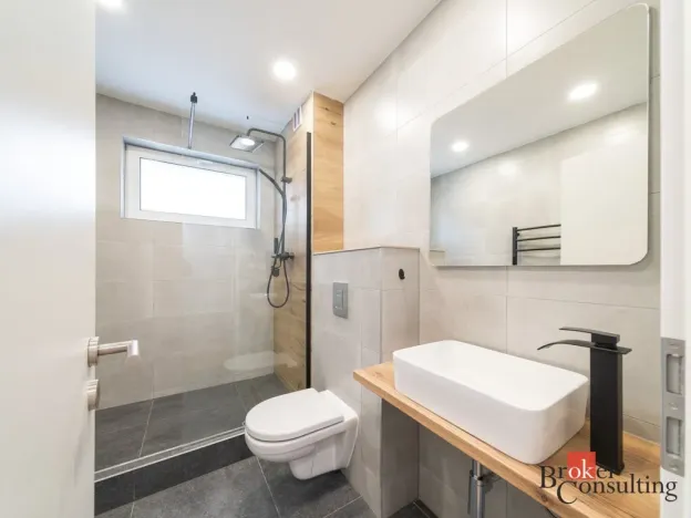 Prodej bytu 2+kk, Ostrava - Mariánské Hory, Cottonové, 37 m2