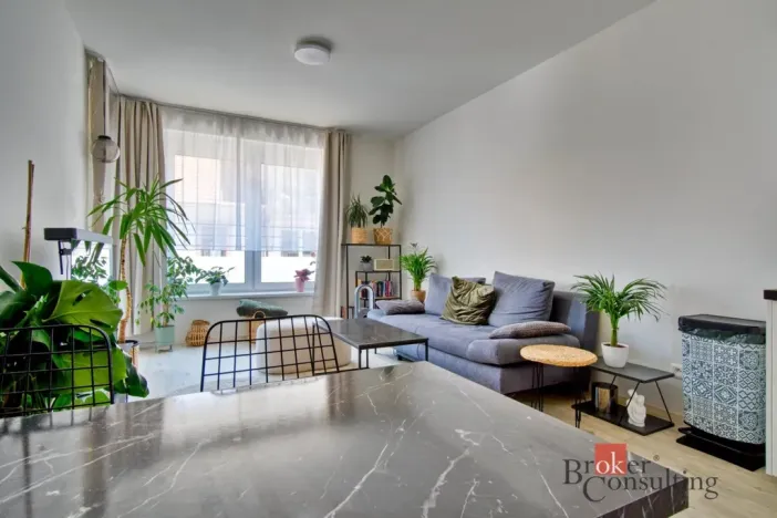 Pronájem bytu 2+kk, České Budějovice - České Budějovice 6, Chelčického, 48 m2