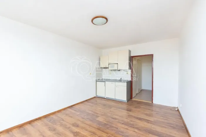 Prodej bytu 1+kk, Tábor, Budějovická, 24 m2