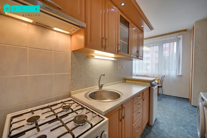 Pronájem bytu 3+1, Olomouc - Nová Ulice, Jílová, 74 m2