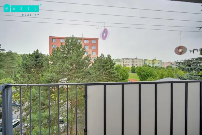 Pronájem bytu 3+1, Olomouc - Nová Ulice, Jílová, 74 m2