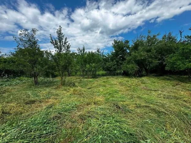 Prodej rodinného domu, Hulín - Chrášťany, 370 m2