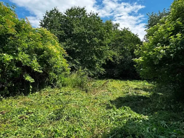 Prodej zemědělské usedlosti, Hulín - Chrášťany, 370 m2
