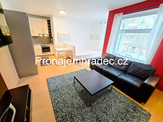 Pronájem bytu 1+kk, Hradec Králové, Rybova, 42 m2