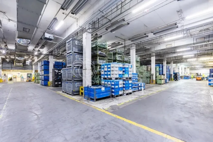 Pronájem výrobních prostor, Písek - Budějovické Předměstí, U Vodárny, 6421 m2