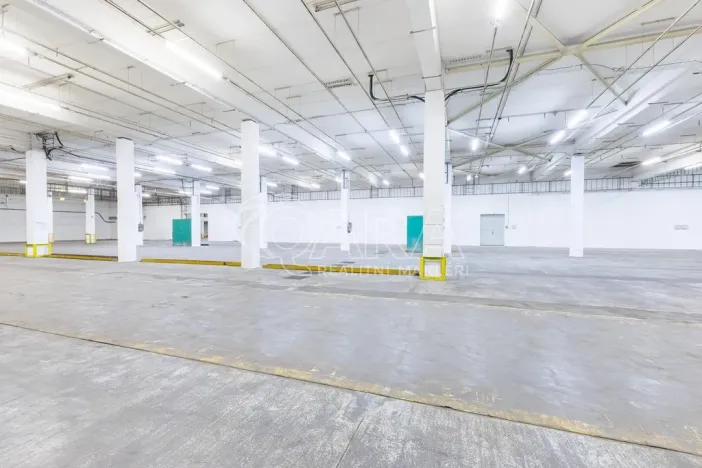Pronájem výrobních prostor, Písek - Budějovické Předměstí, U Vodárny, 6421 m2