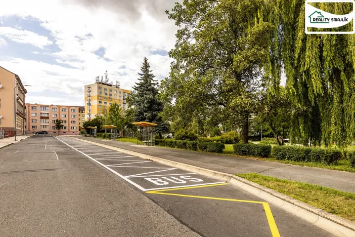 Prodej bytu 1+kk, Cheb, Dukelská, 44 m2