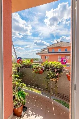 Pronájem bytu 2+kk, Prostějov - Krasice, Krasická, 76 m2