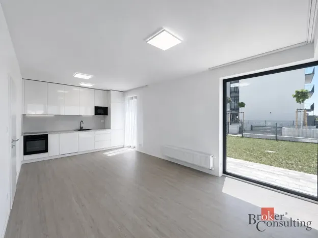 Pronájem bytu 2+kk, Plzeň - Jižní Předměstí, Železná, 55 m2