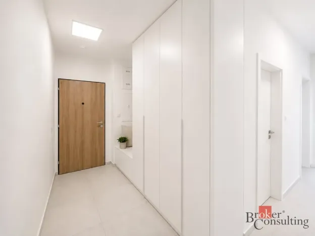 Pronájem bytu 2+kk, Plzeň - Jižní Předměstí, Železná, 55 m2