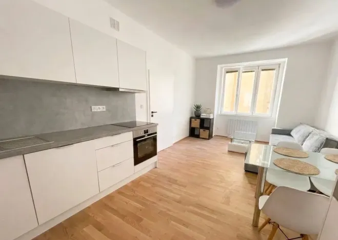 Pronájem bytu 2+kk, Praha - Bubeneč, Národní obrany, 55 m2