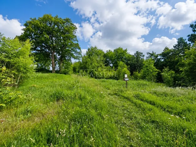 Prodej louky, Oloví, Horní, 420 m2